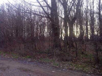 Пропонуємо ділянку в Яру