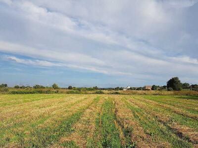 Россошенцы. Земельный участок 24 сотки по отличной цене