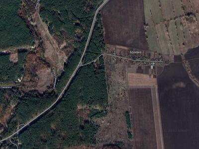 Земельна ділянка поряд з лісом!