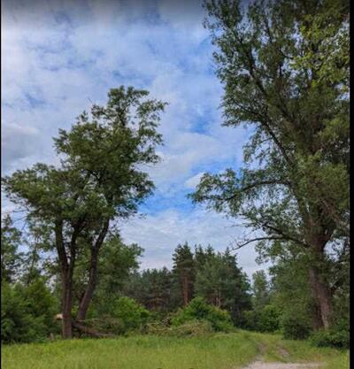 Земельна ділянка в Буланово