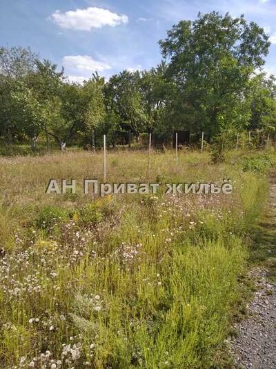 Продається земельна ділянка в Рибцях