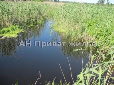 Земельна ділянка біля лісу!