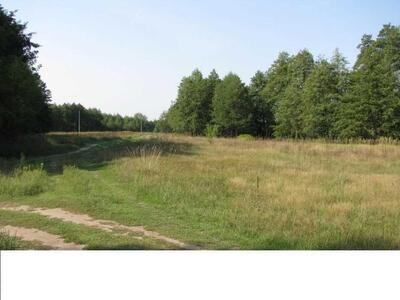 Цена Бомба!