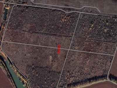 Земельна ділянка в Полтавському районі