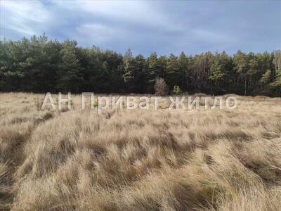 Земельна ділянка в Верхолах