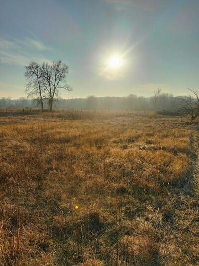 Дачна ділянка в Терешках