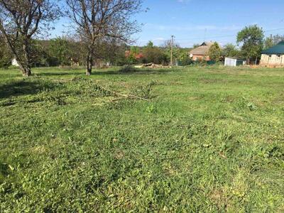 У продаж надійшла приватизована земельна ділянка в Мильцях