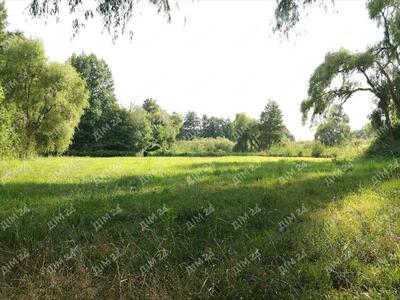 Мальовнича ділянка в Нижніх Млинах.