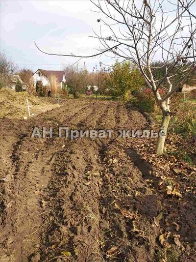Ділянка під будівництво дачі