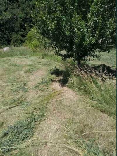 Продается участок в Терешках