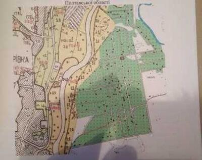 Земельна ділянка в Петрівці