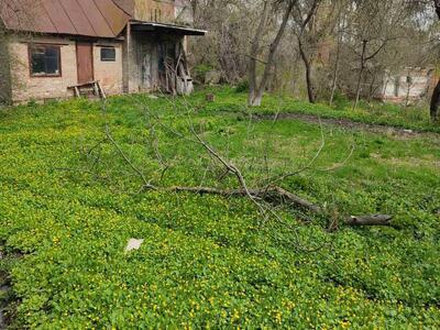 Земельна ділянка у центрі міста, парк Перемоги.