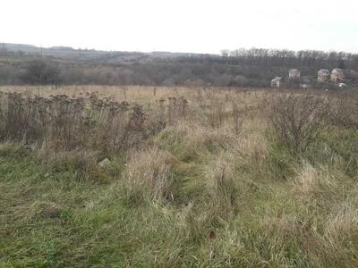 Терміново! Ділянка під забудову неподалік Полтави майже даром!