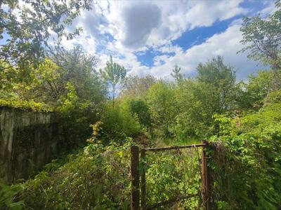 Дачна земельна ділянка по вул.Ромашковій на Вороніна.