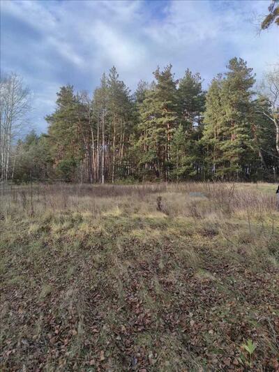 Продаж земельної ділянки в живописному передмісті Полтави!