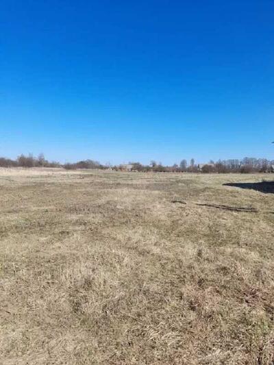 Земельна ділянка майже даром 25 соток.