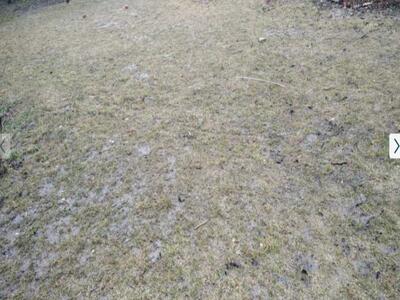 У продажу земельна ділянка в с.Судіївка