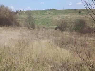 Земельна ділянка в Щербанях.