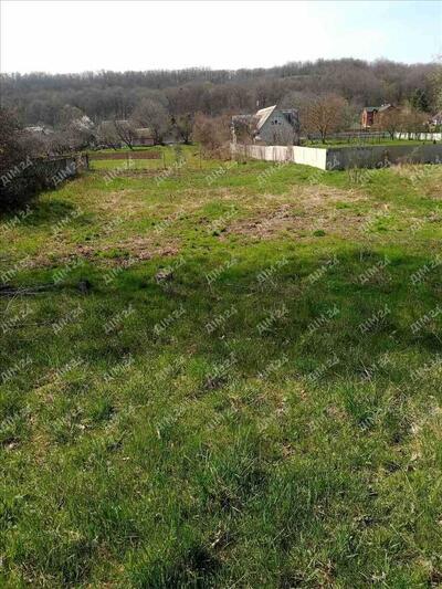 Ділянка біля річки