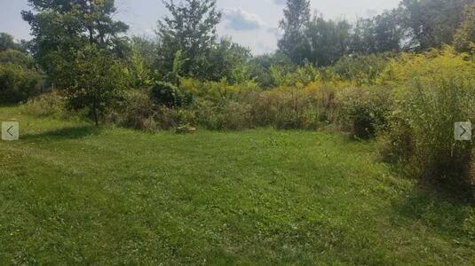 В продажу ділянка в с.Петрівка