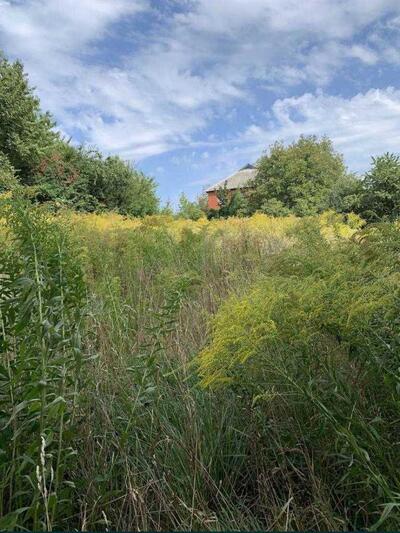 Бюджетна ділянка в Горбанівці.