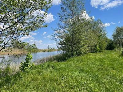 Велика земельна ділянка для бізнесу біля річки та хвойного лісу!