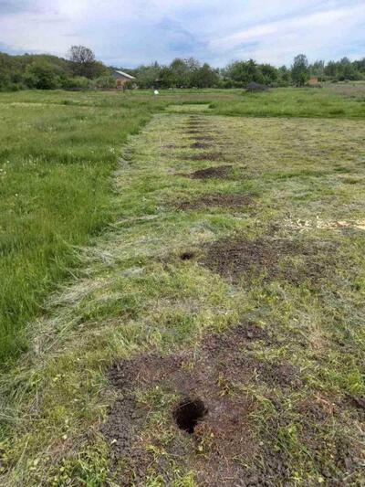 Земельна ділянка у Патлаївці