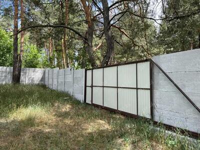 Велика ділянка в сосновому лісі!