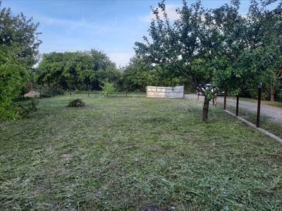 Ділянка в дачному кооперативі!