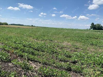 Ділянка під с/г використання