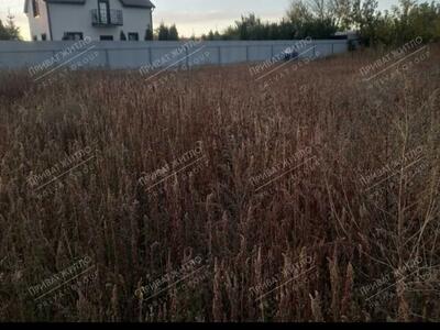 Продаж ділянки в Рибцях