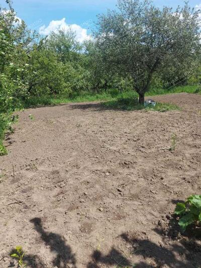 Продається ділянка в дачному кооперативі