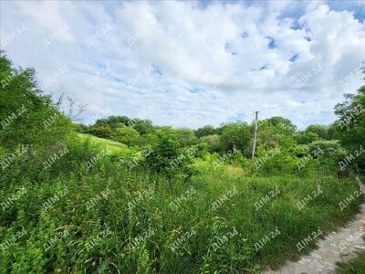 Ділянка з будинком під знесення, с. Патлаївка