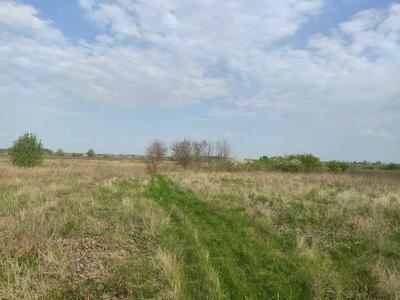 Продам земельну ділянку 15 соток у селі Ковалівка!