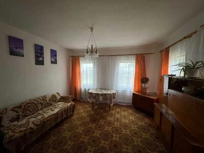 Великий будинок в Нових Санжарах