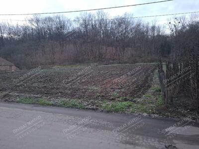 Продаж земельної ділянки в Семянівці (Кротенки, Полт. обл)