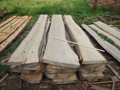 Продам суху дошку бересту(в"яз) столярної якості, камерна сушка.