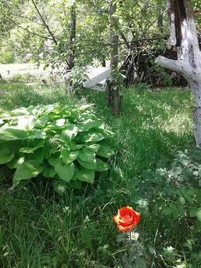 Гарна дача в Сем"янівці