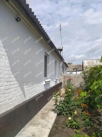 Затишна частина будинку в селі Степне Полтавського району