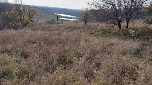 Земельна ділянка в Гожулах!