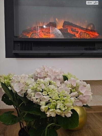 Шикарний будинок з приємною атмосферою у передмісті