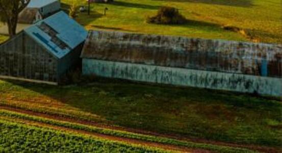 Продаж: Фермерське господарство 15,4 га