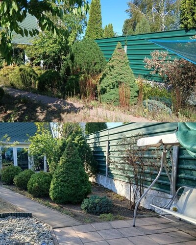 Генеральне прибирання ділянки