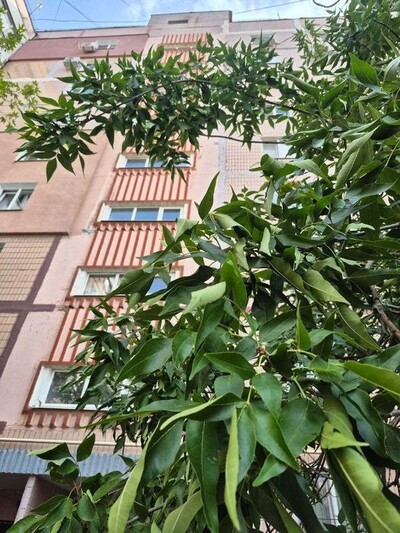 Продам большую (38 кв.м) квартиру в центре Южного