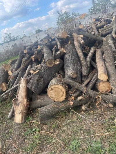 В ПРОДАЖЕ ДРОВА! Берест, Акация, Ясень, Клен, Дуб. Сухие, Колотые!