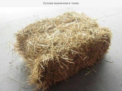 Доставка пшеничной соломы по Запорожью.