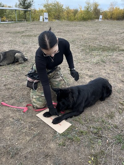 дресирування собак усіх порід на спеціально обладнаному майданчику