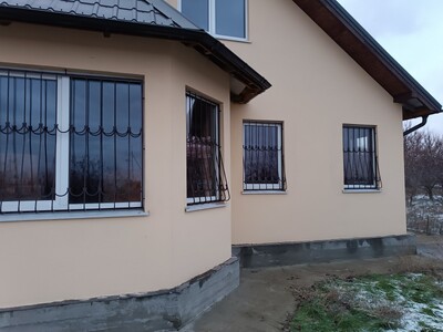 Продам срочно дом в селе Приветное (49 соток). Вид на Днепр. Запорожский район