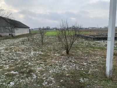 Продам ділянка під житлову забудову Рожищенський, Рудка-Козинська, Центральна