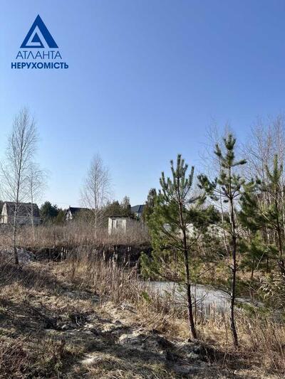 Продам землю сільськогосподарського призначення Ківерцівський, Озерце, Лісова